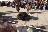 Faschingsumzug Weer 2019