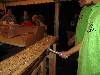 Absamer Dorffest 2012 - Day 2