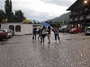 Baumala und Malibu