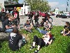 Bus of Steel II - Planet Festival Tour 2014 - Gasometer Wien