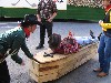 Faschingsdienstag 2007
