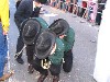 Faschingsdienstag 2007
