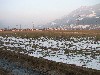 Faschingsumzug Vomp '10
