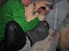Faschingsumzug Vomp '10
