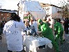 Faschingsumzug Wattens '10
