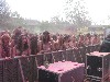 Festival of Colours im Hafen