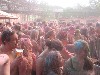Festival of Colours im Hafen