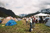 Forestglade West '04 - Analog (Festival)
