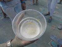 Holi Festival der Farben im Hafen 2017