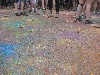 Holi Festival der Farben Innsbruck 2015