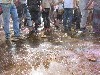 Holi Festival der Farben Innsbruck 2015