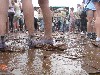 Holi Festival der Farben Innsbruck 2015