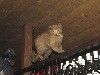 Der letzte Mullerbar Donnerstag 2015