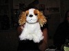 Zu Besuch bei Lisa und beim Starkbierfest
