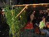 Marktfest Wattens
