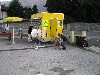 Marktfest Wattens

