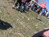 Nova Rock '06 - Day 2
