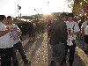 Oktoberfest 2011