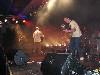 Puke Konzer im Treibhaus
