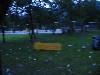 Terfner Seefest
